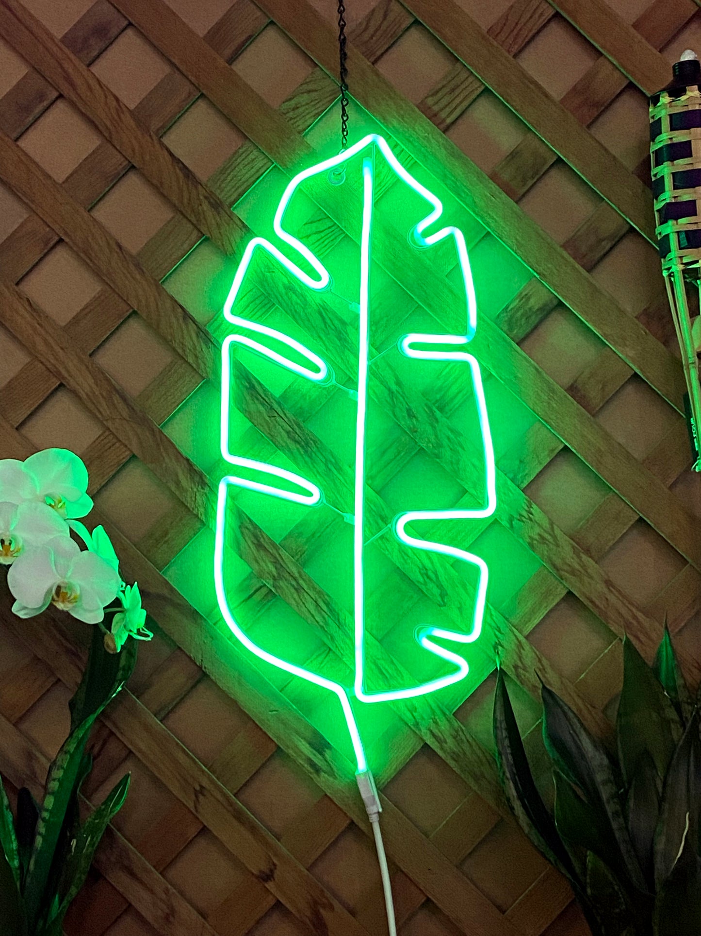 Tropical leaf neon decor