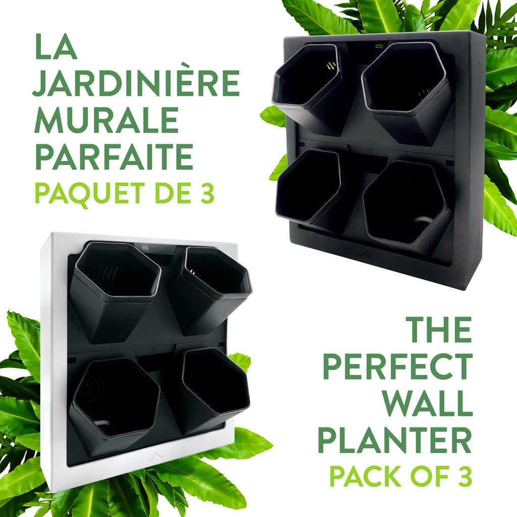 Self-watering wall planter 3PK