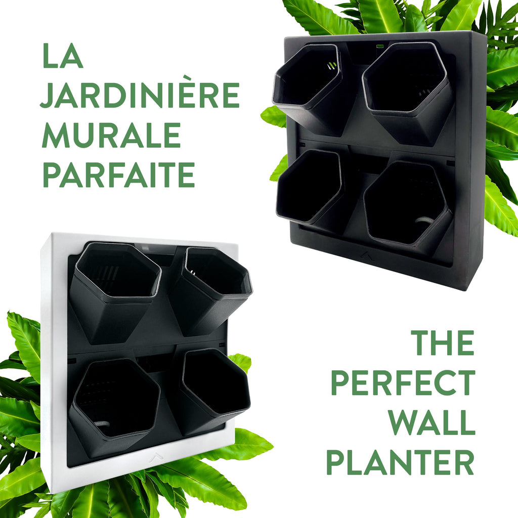 Self-watering wall planter 1PK