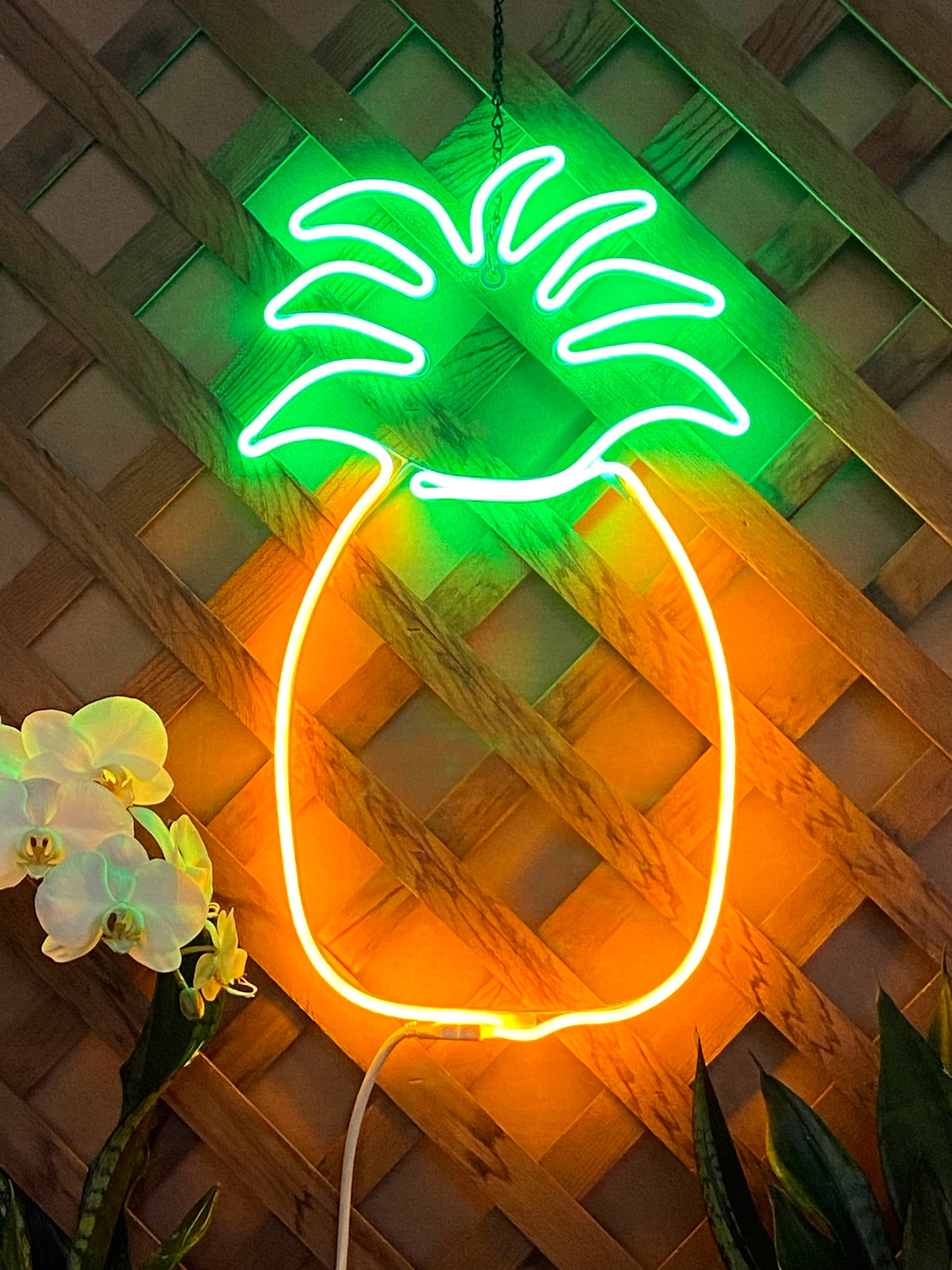 Pineapple neon decor