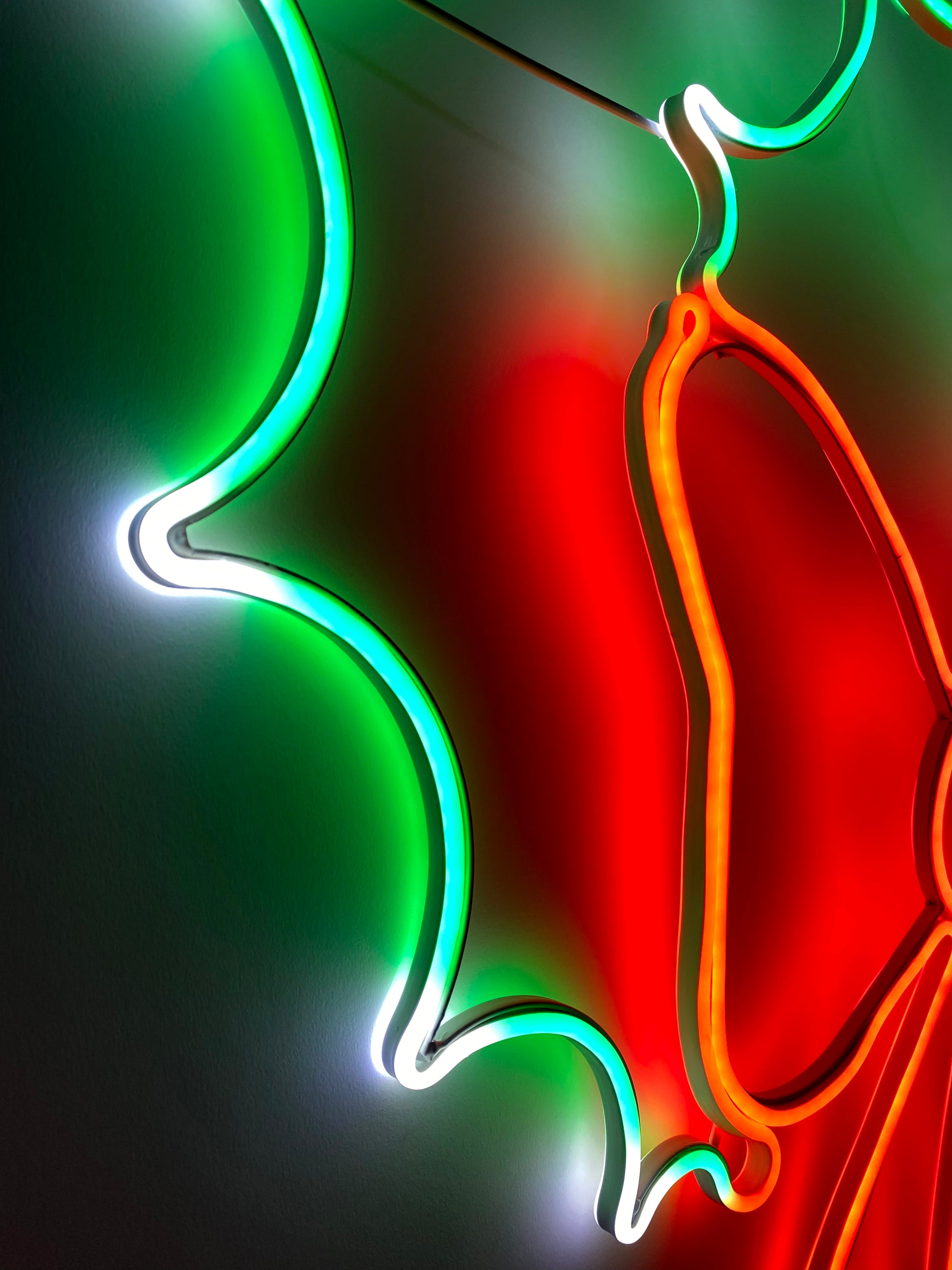 Christmas wreath neon decor